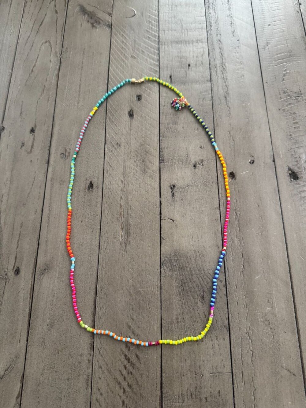 Roxanne Assoulin RA Beaded Long Rainbow Multicolor Necklace